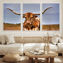 Texas Longhorn Wall Art Print, Framed Longhorn Cow Wall Art