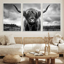 Scottish Cow Wall Art Canvas Print | Longhorn Wall Art | by MyGreatCanvas | Canvas Wall Art Prints | Photo Prints & Wall Decor