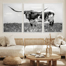 Texas Black White Highland Longhorn Cow Wall Art Canvas by MyGreatCanvas | Canvas Wall Art Prints | Photo Prints & Wall Decor