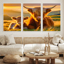 Scottish Cow and Baby Cow Canvas Wall Art Animal Print