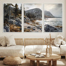 Serene Coastal View of Acadia National Park - Stunning