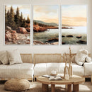 Serene Coastal View of Acadia National Park Wall Art -