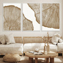 Rustic Brown Tree Ring Wall Art Canvas Print – Framed and by MyGreatCanvas | Canvas Wall Art Prints | Photo Prints & Wall Decor