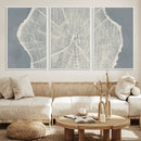 Abstract Tree Ring Wall Art Canvas Print – Nature-Inspired,