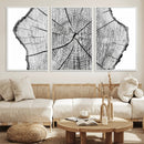 Rustic Tree Ring Wall Art Canvas Print – Framed and Ready to