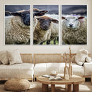 Charming Sheep Portrait Wall Art – Trio of Woolly Companions by MyGreatCanvas | Canvas Wall Art Prints | Photo Prints & Wall Decor