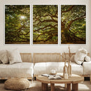 Ancient Angel Oak Tree Art Sunburst Canvas Print- by MyGreatCanvas | Canvas Wall Art Prints | Photo Prints & Wall Decor