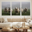 Flock of Sheep in a Mystical Fog – Pastoral Wall Art Canvas by MyGreatCanvas | Canvas Wall Art Prints | Photo Prints & Wall Decor