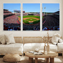 Cincinnati Reds Baseball Canvas Print - American Ball