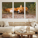 Sleeping Fox Wall Art Canvas Print, Farmhouse Wall Decor and