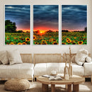 Golden Sunflower Field at Sunset – Breathtaking Sky and