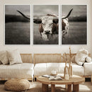Texas Longhorn Cow Canvas Wall Art Print - Large Rustic