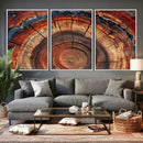 Abstract Tree Ring Art, Colorful Tree Ring Wall Decor, by MyGreatCanvas | Canvas Wall Art Prints | Photo Prints & Wall Decor