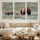 Wildlife Photography of 399 Grizzly Bear Cubs | Queen of the