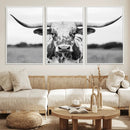 Highland Cow Wall Art Canvas Print – Black and White Western