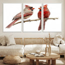 Cardinal Canvas Wall Art - Male and Female Cardinal Print -
