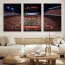 Texas Stadium Night Game Wall Art Canvas Print – Vibrant