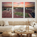 Indiana Memorial Stadium Wall Art Canvas Print, Framed