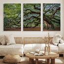 Historic Tree Wall Art – Framed Mossy Branch Canvas Artwork, by MyGreatCanvas | Canvas Wall Art Prints | Photo Prints & Wall Decor