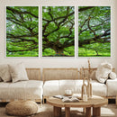 Oak Tree Wall Art Print, Forest Canvas Wall Art for Home and by MyGreatCanvas | Canvas Wall Art Prints | Photo Prints & Wall Decor