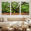 Majestic Oak Tree Wall Art Canvas Print – Ancient Branches by MyGreatCanvas | Canvas Wall Art Prints | Photo Prints & Wall Decor
