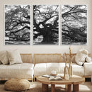 Ancient Oak Wall Art Canvas Print, Majestic Twisted Branches by MyGreatCanvas | Canvas Wall Art Prints | Photo Prints & Wall Decor