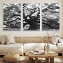 Ancient Oak Wall Art Canvas Print – Gnarled Tree Twisted by MyGreatCanvas | Canvas Wall Art Prints | Photo Prints & Wall Decor