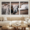 Texas Longhorn Wall Art Canvas Print – Framed Spotted Bull