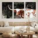 Texas Longhorn Wall Art Canvas Print – Framed Spotted Bull