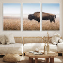 Wild Bison Wall Art – Framed Prairie Landscape Canvas by MyGreatCanvas | Canvas Wall Art Prints | Photo Prints & Wall Decor