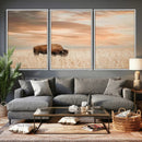 MyCanvas -