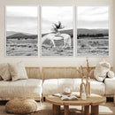 White Horse Wall Art Canvas Print – Framed Woman Rider