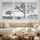 Joshua Tree Wall Art Canvas Print – Framed Black White