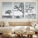 Joshua Trees Wall Art Canvas Print – Framed Black White