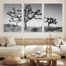 Joshua Tree Wall Art Canvas Print – Framed Monochrome Desert