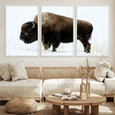 Bison Wall Art Canvas Print – Framed Western Wildlife