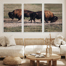 Bison Wall Art Canvas Print – Framed Western Wildlife Modern by MyGreatCanvas | Canvas Wall Art Prints | Photo Prints & Wall Decor