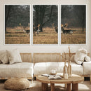 Deer Wall Art Canvas Print – Framed Rustic Wildlife Stags