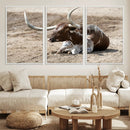 Texas Longhorn Wall Art Canvas Print – Framed Country Living