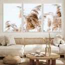 Pampas Grass Wall Art Canvas Print – Framed Neutral Tones by MyGreatCanvas | Canvas Wall Art Prints | Photo Prints & Wall Decor