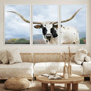 Texas Longhorn Wall Art Canvas Print – Framed Western Rustic
