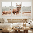 Rustic Nature Wall Art Canvas Print – Stag Woodland Framed by MyGreatCanvas | Canvas Wall Art Prints | Photo Prints & Wall Decor