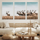 Elk Herd Wall Art Canvas Print – Framed Wildlife Photography