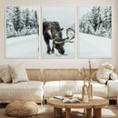 Moose Snow Wall Art Canvas Print – Framed Winter Wildlife