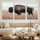 American Bison Wall Art Canvas Print – Majestic Buffalo