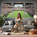 Chicago Bears Soldiers Field Wall Art Canvas Print – Framed