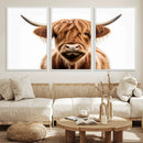 Scottish Highland Cow Canvas Print, Framed Highland Cow