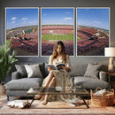 William Brice Stadium Wall Art Canvas Print – Stadium Crowd