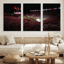 William Brice Stadium Wall Art Print – Baseball Game Room by MyGreatCanvas | Canvas Wall Art Prints | Photo Prints & Wall Decor