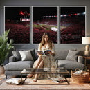 William Brice Stadium Wall Art Print – Baseball Game Room